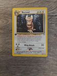 pokemonkort 