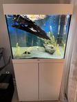 2 st 120 liters Juwel Lido akvarium