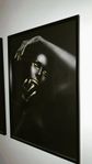 posters + ramar 