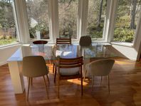 Glasbord 100x205 cm