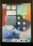 iPad 6th 128GB