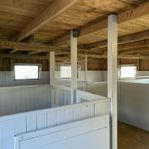 Stallplats/Boxplats