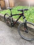 MTB Polygon