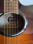 Yamaha APX-500