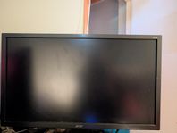 Acer dataskärm 24"
