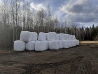 Ensilage