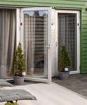 Thuja SMARAGD med Kruka 