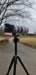 Sony 200-600 5,6-6,3 G OSS 