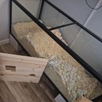 Hamsterburar + tillbehör
