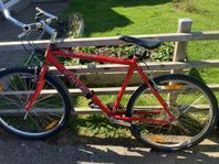 Mountainbike cyclepro