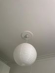 Rislampa (boll)