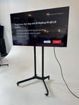 Samsung 65” tv med rullbart stativ. 