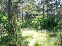 Tomt utanför Borgholm på Öland