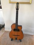 Gitane D-500