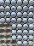 Titleist, mix (NXT TOUR, TruSoft osv)
