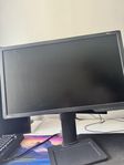 datorskärm (benq XL2411P)