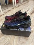 Nike TNS limited edition 