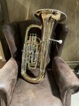 Eb Tuba Wessex Bombino 