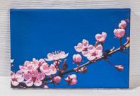 Ny foto-tavla på canvas körsbärsblom inredning