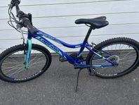 Cykel 
