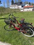 damcyklar 