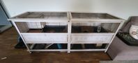 2 x Ferplast Cottage Marsvin/Kaninbur