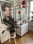 Niklas 80-tals hylla för Ikea