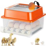 Automatisk äggkläckningsmaskin - max 12 ägg