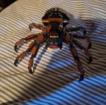 lego Shelob Lord Of The Rings