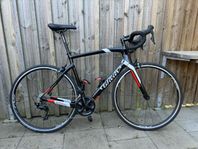 Wilier Triestina GTR Team 56 (xl)