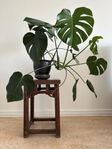 Kinesisk pall från Dynasty Pacific