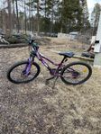 MTB X-Dirt 24”