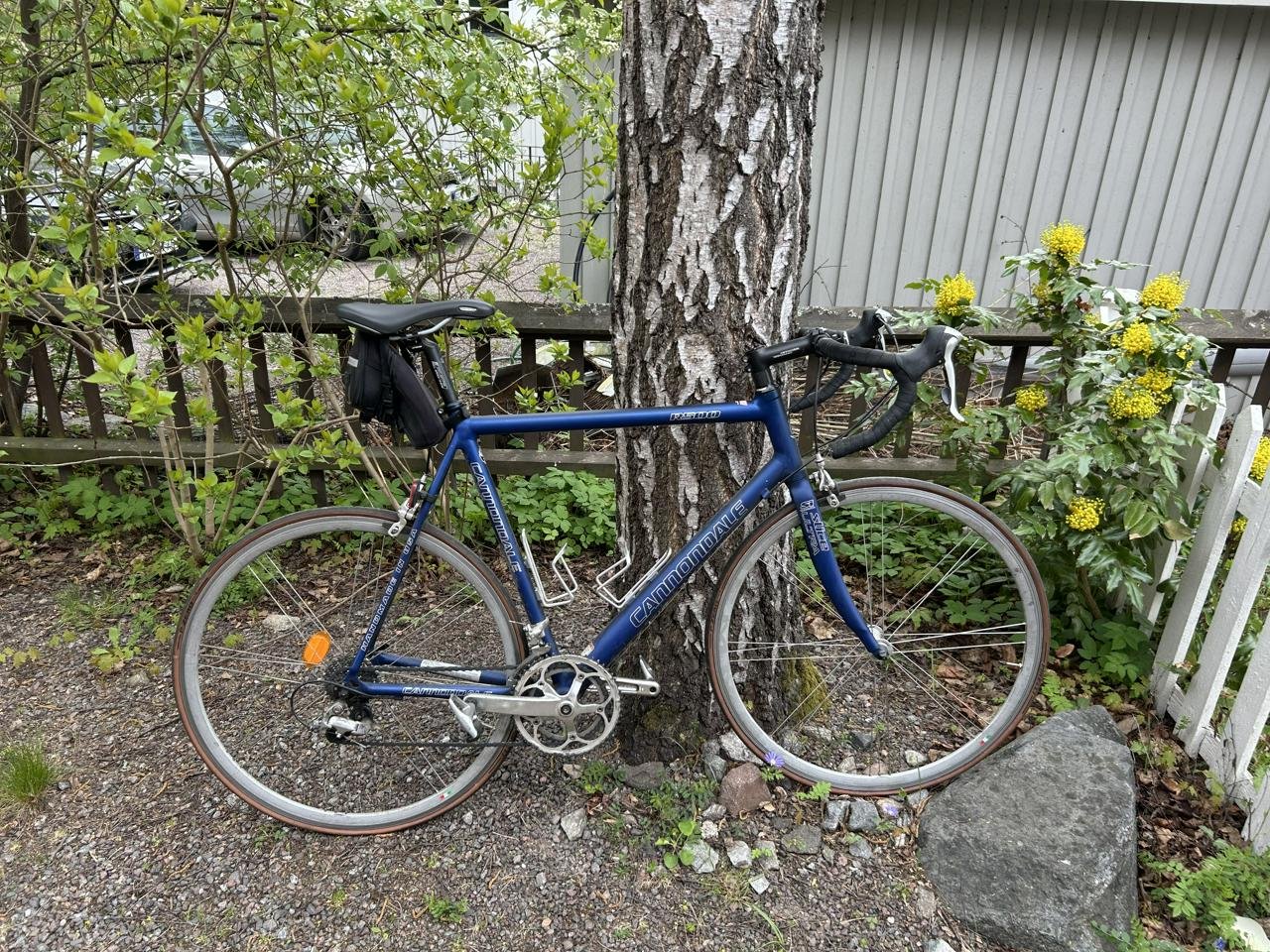 cannondale R500 Ram 58