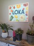 LOKA tavla