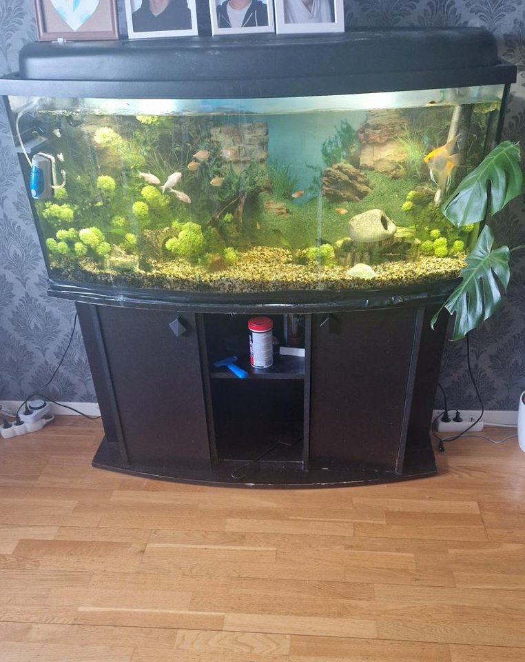 Akvarium plus allt