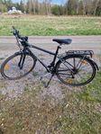 Trek Hybrid Dam