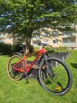 Mountainbike: Trek X-Caliber 8 L 29"