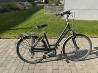 Koga damcykel