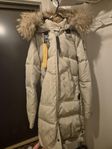 Parajumper longbear