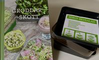 Groddlåda