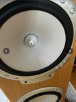monitor audio rs6 