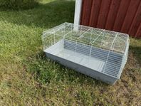 kaninbur inomhus 