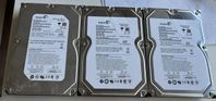 3st Barracuda Enterprise 1TB 3,5” HDD