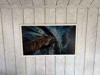 TV Frame Samsung