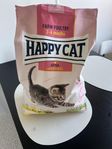 torrfoder till katt