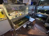 stora akvarium med udda mått 
