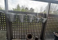 5 BLOMKRUKOR MED FÄSTE