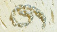 Silverarmband 925 sterling L:222mm B:8mm 