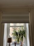 Rullgardiner/mörkläggning