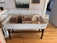 Stor bur för hamster, marsvin eller kanin